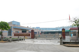 粤兴纸品公司全景展示