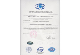 粤兴ISO9001英文证书